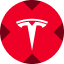 Tesla xStock